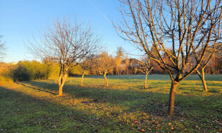Terrain  1763 m² à vendre à Royères (87400)