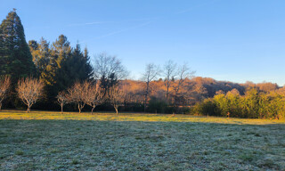 Photo N° 3