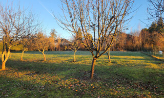 Photo N° 6