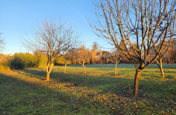 Jolie terrain à 18 min de LIMOGES — photo 2