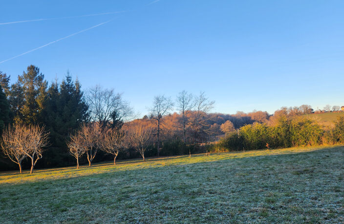 Jolie terrain à 18 min de LIMOGES — photo 3