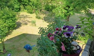 Photo N° 2