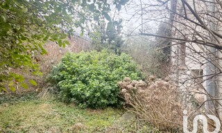 Photo N° 6
