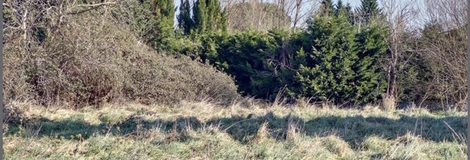 Terrain  45800 m² à vendre à Ambarès-et-Lagrave (33440)