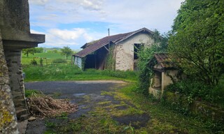 Photo N° 6