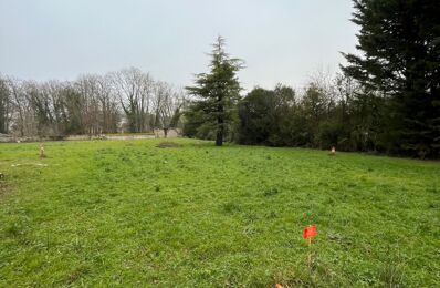 vente terrain 162 500 € à proximité de Dannemois (91490)