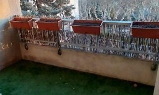 Photo N° 4
