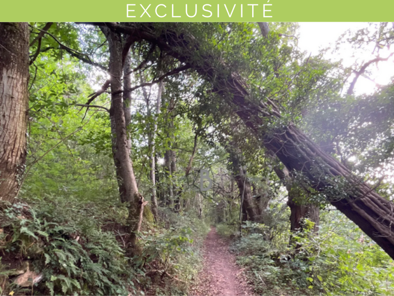 Terrain  à vendre Agen-d'Aveyron 12630