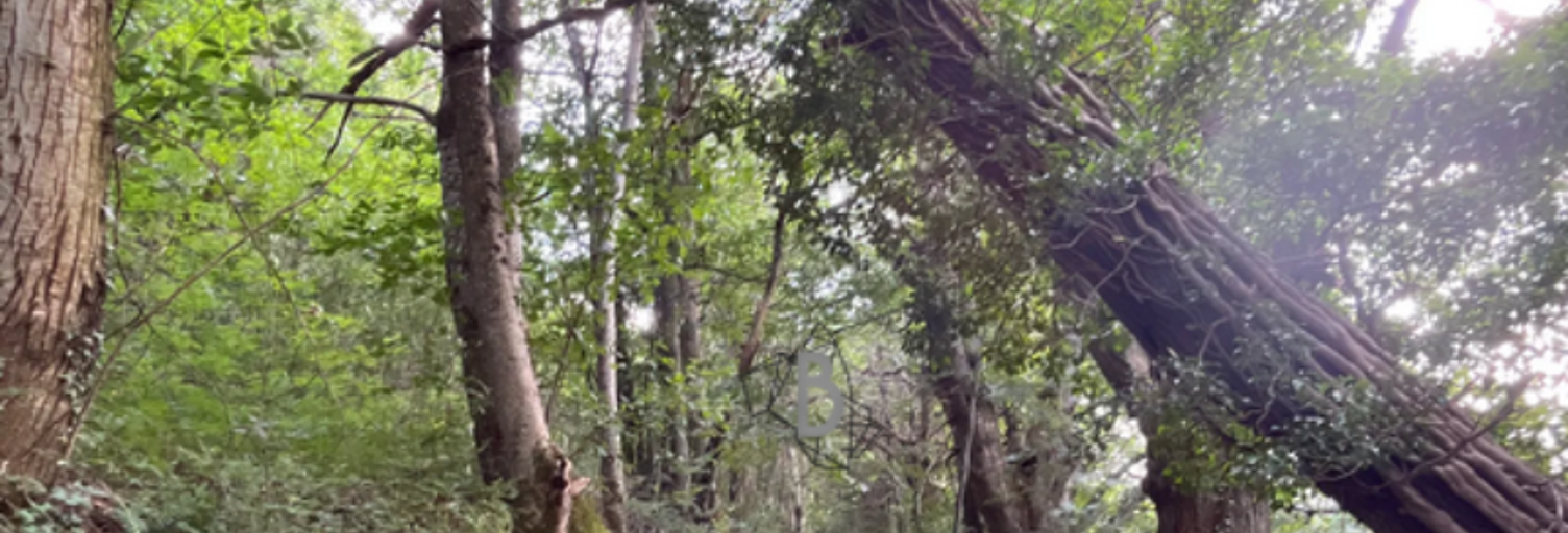 Terrain  13950 m² à vendre à Agen-d'Aveyron (12630)