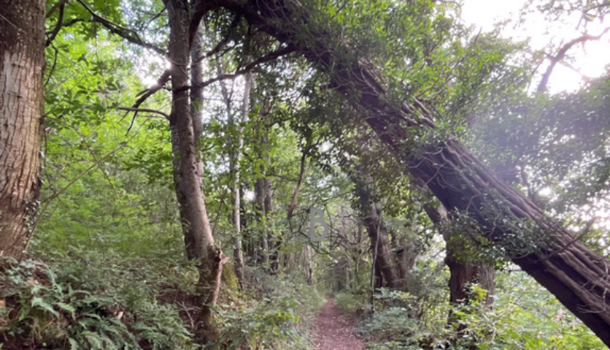 Terrain  à vendre Agen-d'Aveyron 12630