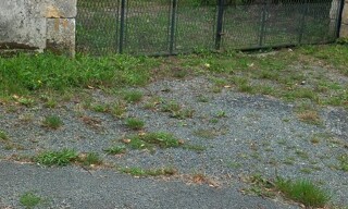 Photo N° 3