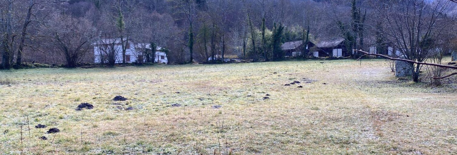 Terrain  3696 m² à vendre à Aston (09310)