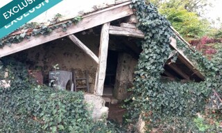 Photo N° 6