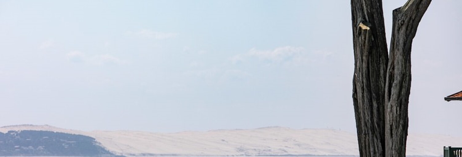 Appartement 2 Pièces 35 m² à vendre à Le Cap-Ferret (33970)