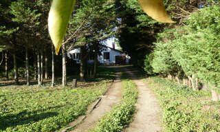 Maison 5 Pièces 88 m² à vendre à Romanèche-Thorins (71570)