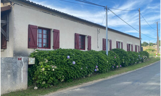 Photo N° 16