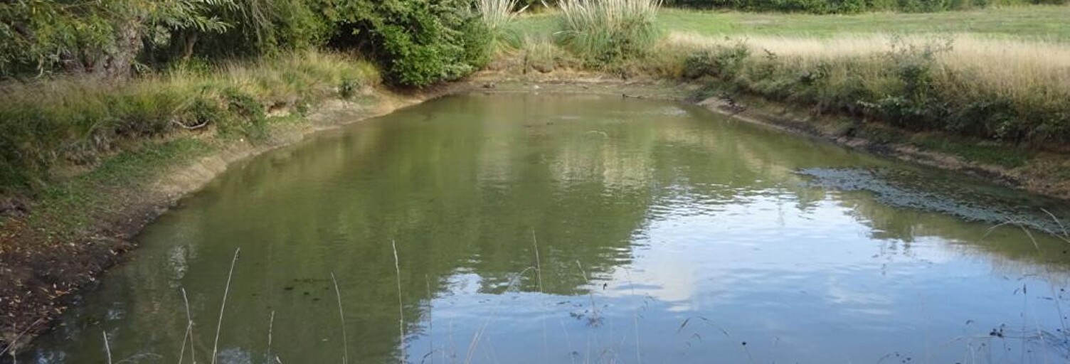 Maison  3220 m² à vendre à Lureuil (36220)