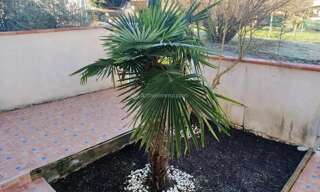 Maison 5 Pièces 89 m² à louer à Carmaux (81400)