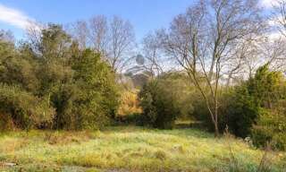 Terrain  509 m² à vendre à Assas (34820)