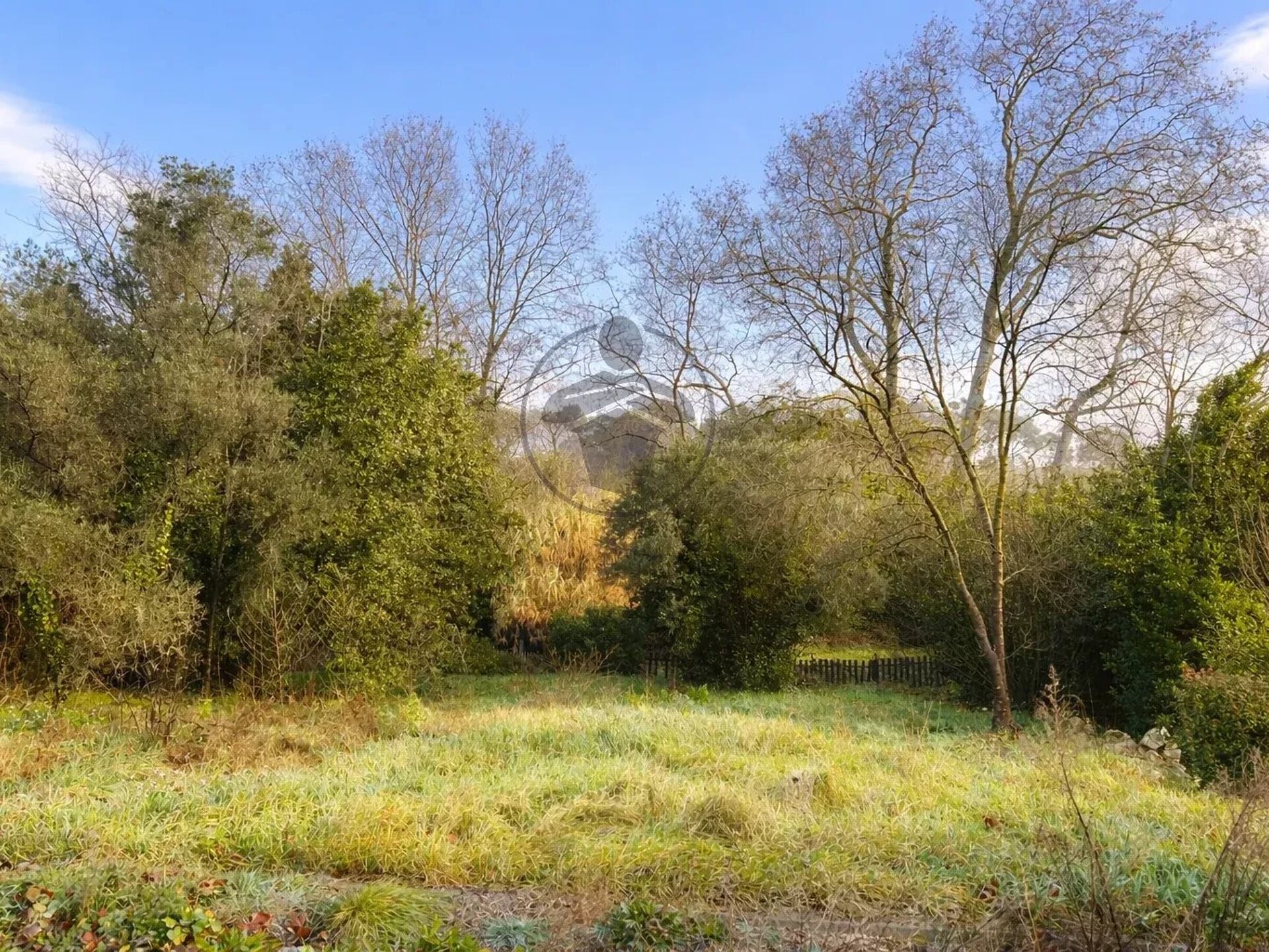 Vente Terrain 509 m2 à Assas · 341 250 €
