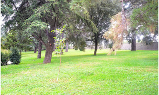Photo N° 6