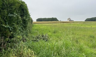 Photo N° 3