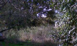 Terrain 391 m² à construire La Celle-les-Bordes (78720)