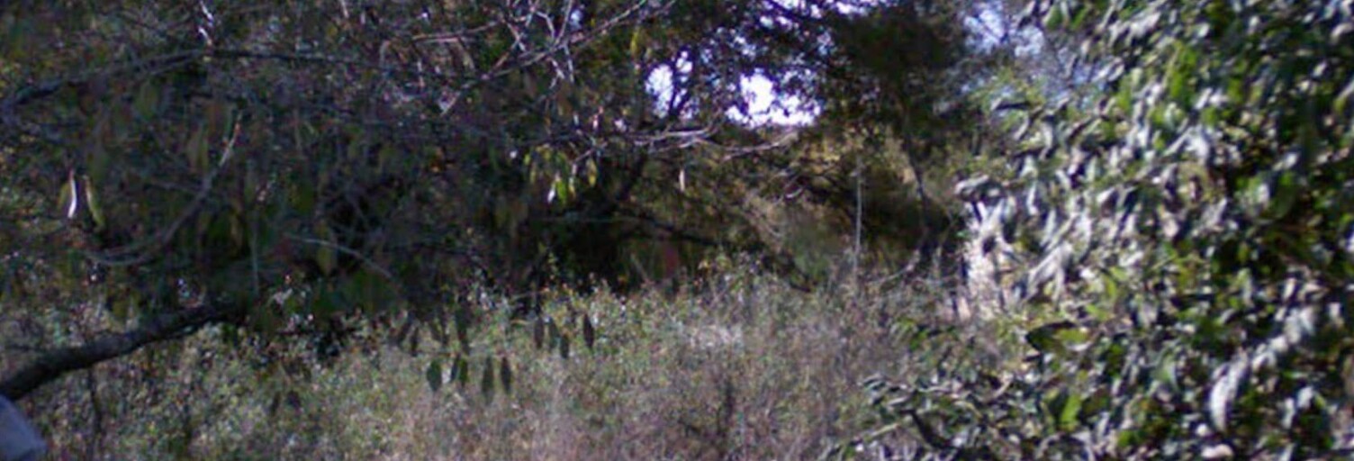 Terrain 391 m² à construire La Celle-les-Bordes (78720)