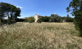 Photo N° 4