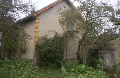 vente maison 21 000 € à proximité de Diou (03290)