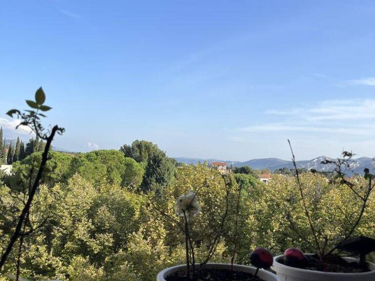 5 Pièces traversant — photo 1