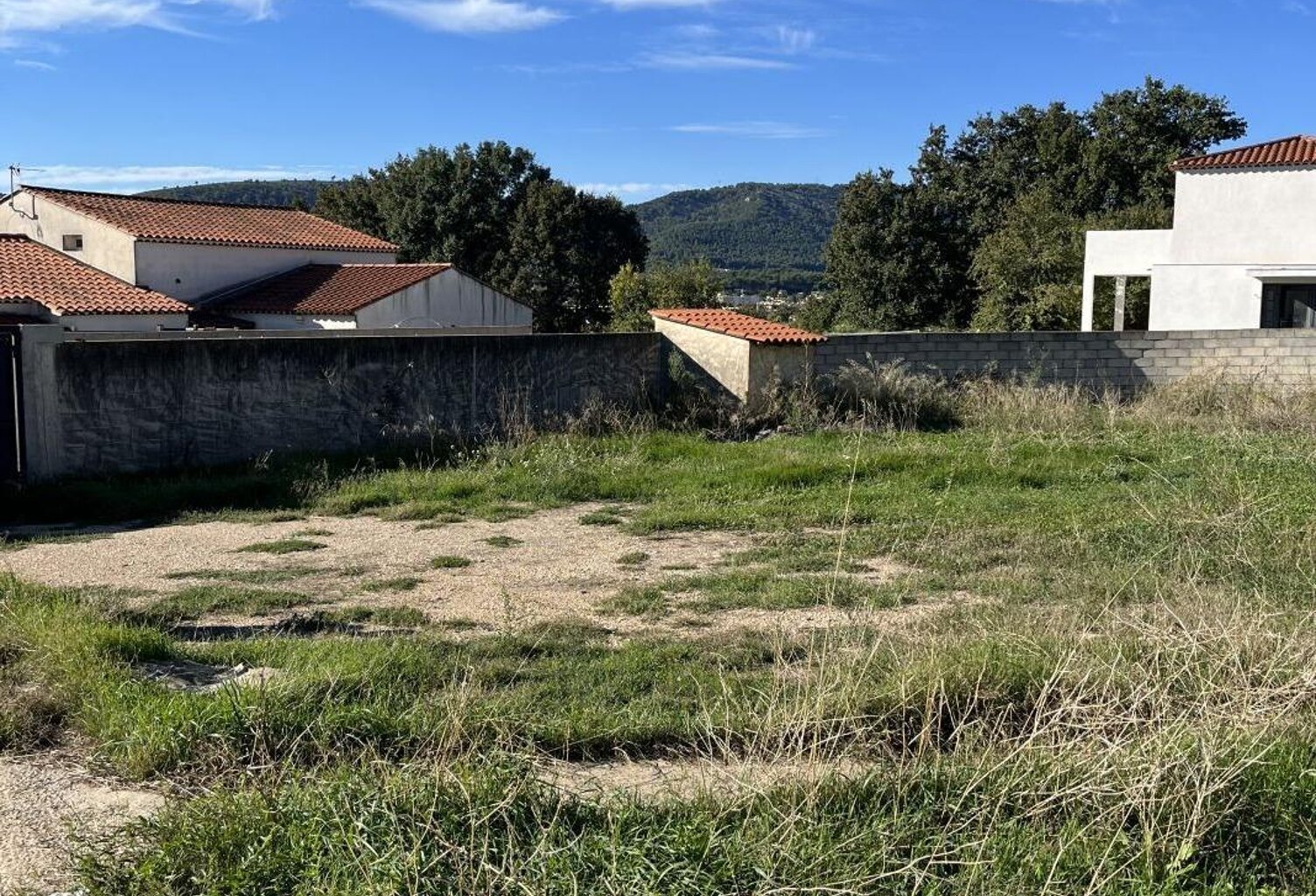 Terrain — photo 1