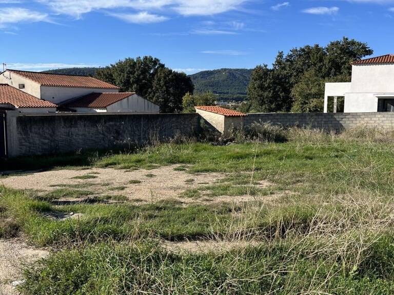 Terrain — photo 1