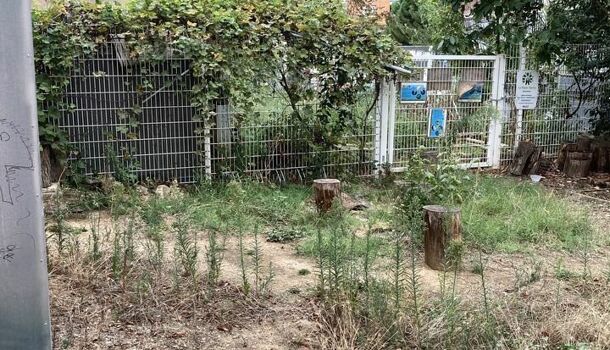 Bureau  à louer Montpellier 34080