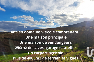 vente maison 350 000 € à proximité de Romanèche-Thorins (71570)