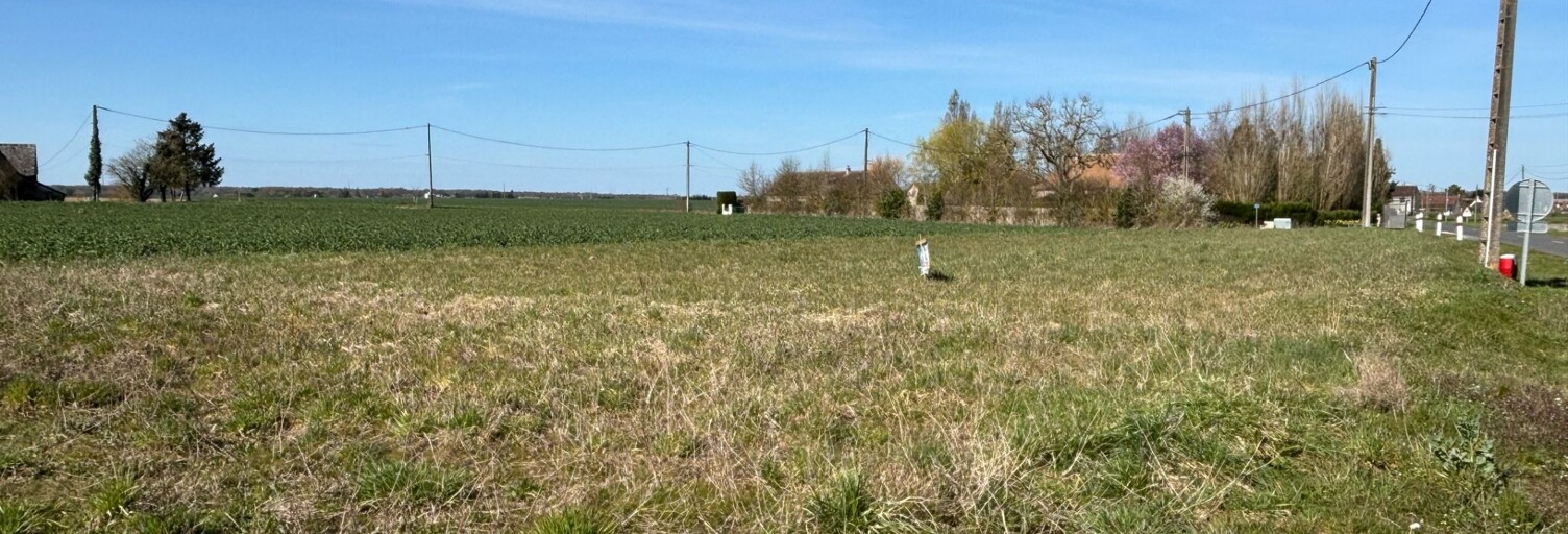 Terrain  1391 m² à vendre à Faye (41100)