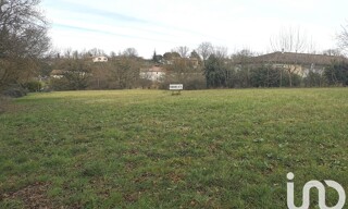 Photo N° 4