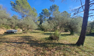 Photo N° 5