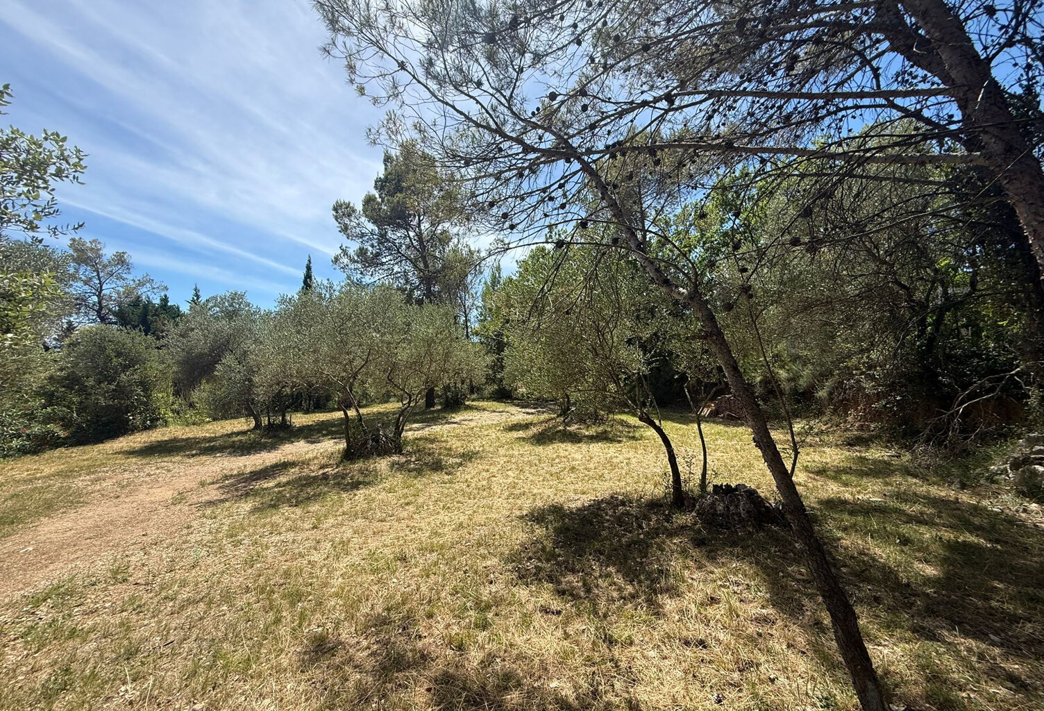 TERRAIN A BATIR - LAURET (34) — photo 1