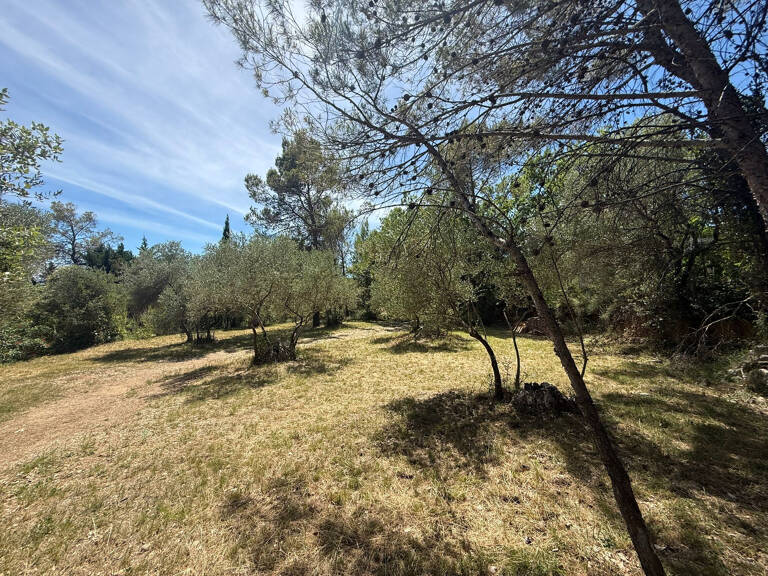 TERRAIN A BATIR - LAURET (34) — photo 1