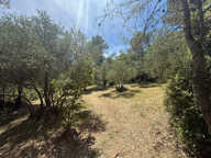 TERRAIN A BATIR - LAURET (34) — photo 2