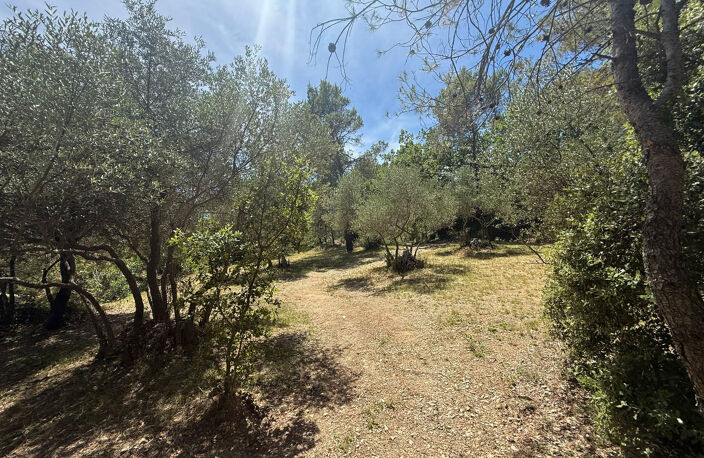TERRAIN A BATIR - LAURET (34) — photo 2