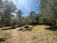 TERRAIN A BATIR - LAURET (34) — photo 3