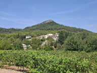 TERRAIN A BATIR - LAURET (34) — photo 4