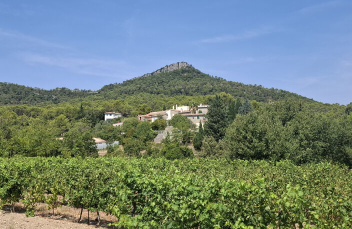 TERRAIN A BATIR - LAURET (34) — photo 4