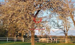 Maison 9 Pièces 330 m² à vendre à Évreux (27000)