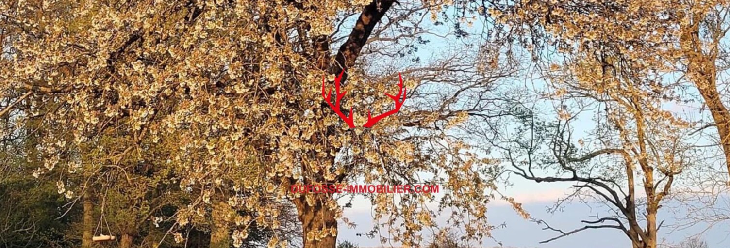 Maison 9 Pièces 330 m² à vendre à Évreux (27000)