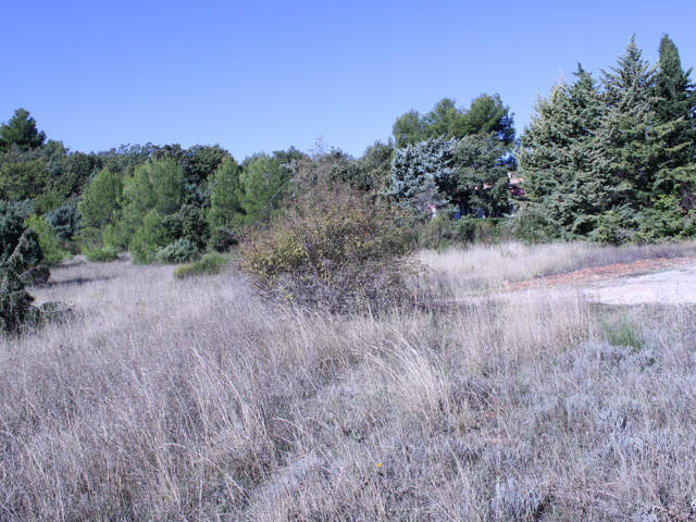 À VENDRE : Terrain à bâtir de 1586 m2 à Baudinard-sur-Verdon — photo du bien