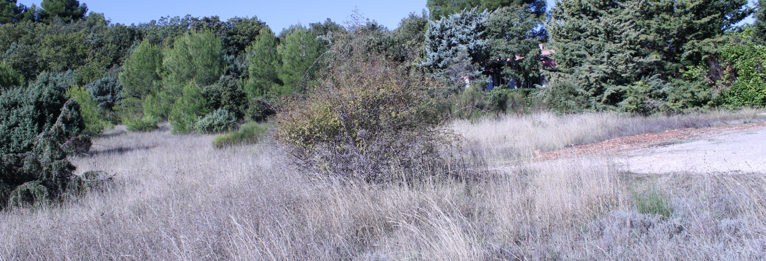 Terrain  1526 m² à vendre à Baudinard-sur-Verdon (83630)