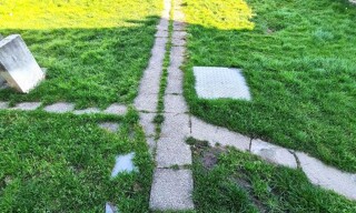 Photo N° 3